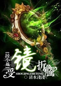 (陆小凤同人)受镜折腾
