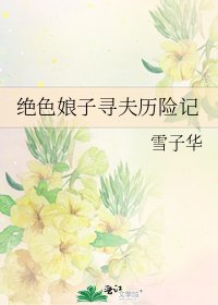 绝色娘子寻夫历险记