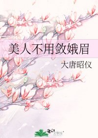 美人不用敛娥眉